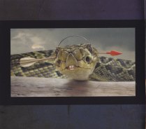 SNAKES AND ARROWS_0007